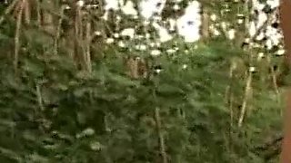 Horny brunette gets banged by two guys outdoors