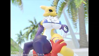 Renamon compilation 3