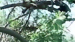 A Beautiful Brunette Who Loves to Suck Cock Outdoors and Get Banged Hard