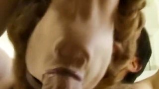 Rough doxie's vintage clip