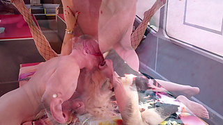 Gangbang Bus Vol. 1 - Freya Fucks a Bunch of Anoymous Guys and Drain Their Balls