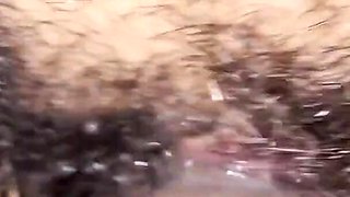 Mallu Step Brother Eats Friend's Pussy