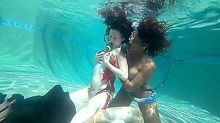 Blackwidow 4 The Penis Forever Popular