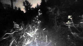 masturbating while oiled up in the rain on a nude beach at night