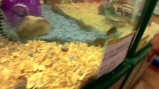 Big Tits MILF Fucked Hard in Doggystyle with Seth Dickens