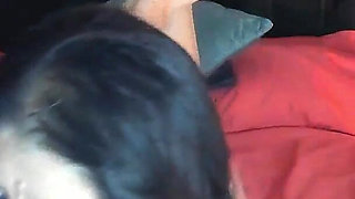 Control Sex Toy Machine Fans in Live