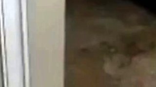 Horny Daddy Strokes on Cam