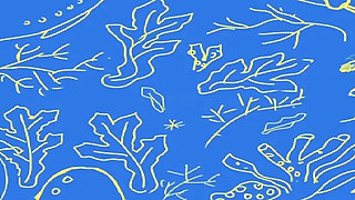 The Selkie (part 2)
