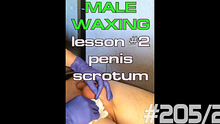 #205(2) Male Waxing. Smooth Penis and Scrotum