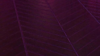 We Are Lost Liam POV #2