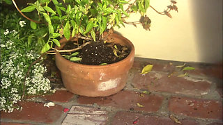 Hot pleasure with my love... (Vintage pleasure)