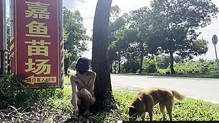 Blond amateur girlfriend outdoor hardcore