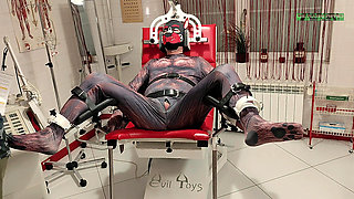 Playing Puppies the First Examination