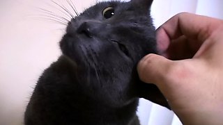 Small titted brunette teen fingering on the bed