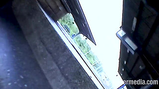 Madeleine with Hot Hairy Pussy Towed