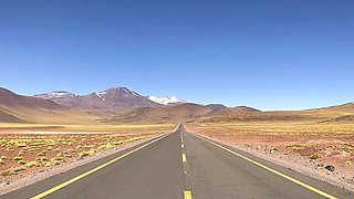 MILF POV Big Cock Blowjob