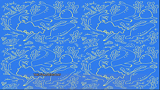The Selkie (part 3)