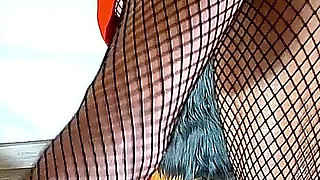 Misss a Catching You with Her Sexy Fishnets 1