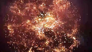 Watch luring bird's trailer