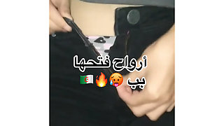 9ahba algeroise b short f dar haba djibha 2026