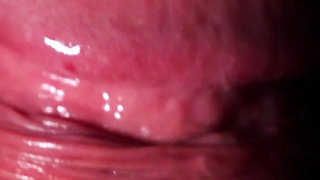 Goddess Anya Queen’s POV View Extreme Oral & Wet Asmr