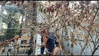 MargoAlisa as Alice Peeing Desperate 3 Times Outdoor - Amateur Redhead Teen Solo Pissing