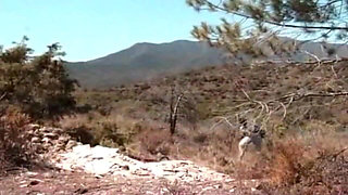 Big Omar's British Adventures Rump Humping Holidays (2001)