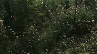 Anal Pleasure for Both Wife and Husband Gets Pegged with Her Strapon Outdoor Creampie Adventure