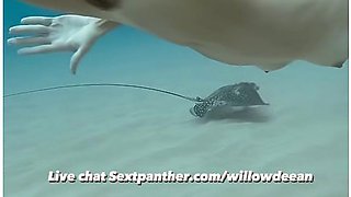 Watch Her Dive Nude With An Eagle Ray!