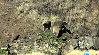 Blonde Kate Bloom's Steamy Public Blowjob, Footjob and