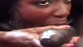 N2 The Gene Pool Black and Ebony