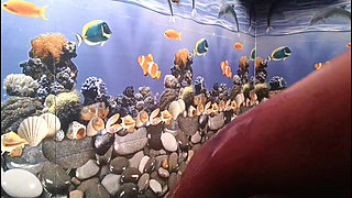 Ammu Kutty Applies Soap to Her Breasts, Massages Them, and Makes Them Shine.