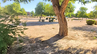 Thick BBW wife public nude blowjob! BadBlondieMonroe