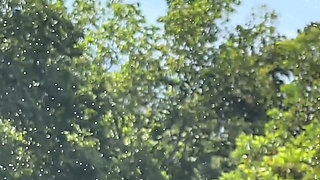 Wild & Milky: Nature Shower Edition Milky Super Power
