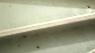 bare assensor