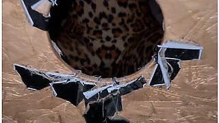 While The Others Were Having Dinner, I Was Very Eager To Have Dinner In The Gloryhole Cage