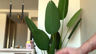 Our Passionate Home Sex. I Feel Like I Was Cumming for a Full Minute While Shaking From the Orgasm on His Dick