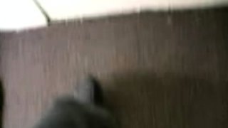 Hot Big Black Latina booty Black and Ebony