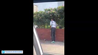 Viral Jaipur Flick Of [censored] Doll Undressing Nude On Active Road & Causing Wild Ruckus