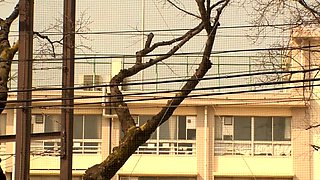 Asian japanese teen with outdoors