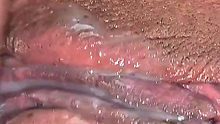 Sometimes I Make the Cuckold Happy by Giving Him My Pussy