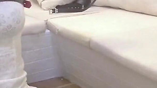 Mz18 - a Puppy Wearing Pajamas, Bound to Extreme Limits