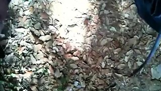 Bearded Man Masturbating Outdoors