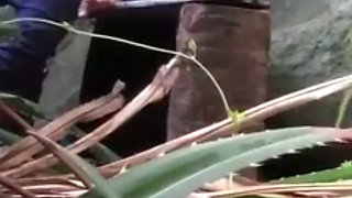 Indian Couples Are Sex in Jungle