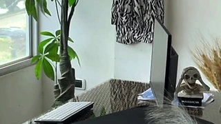 Wife Walks Into My Office and Meets My Secretary