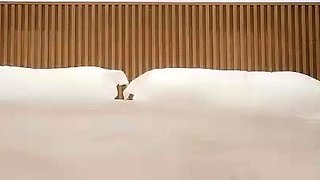 Asian blowjob blond amateur fucked after sucking cock