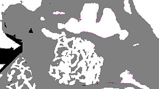 BBC Deep Thrusting Moaning Orgasms