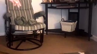 MissVSP - Cuckold cum kiss Cuckold