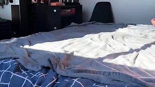 Amateur Couple Passionate Fucking ends in a deep creampie