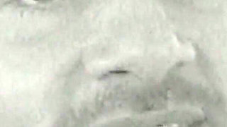 The Two Black Panthers Tear a Cock to Pieces